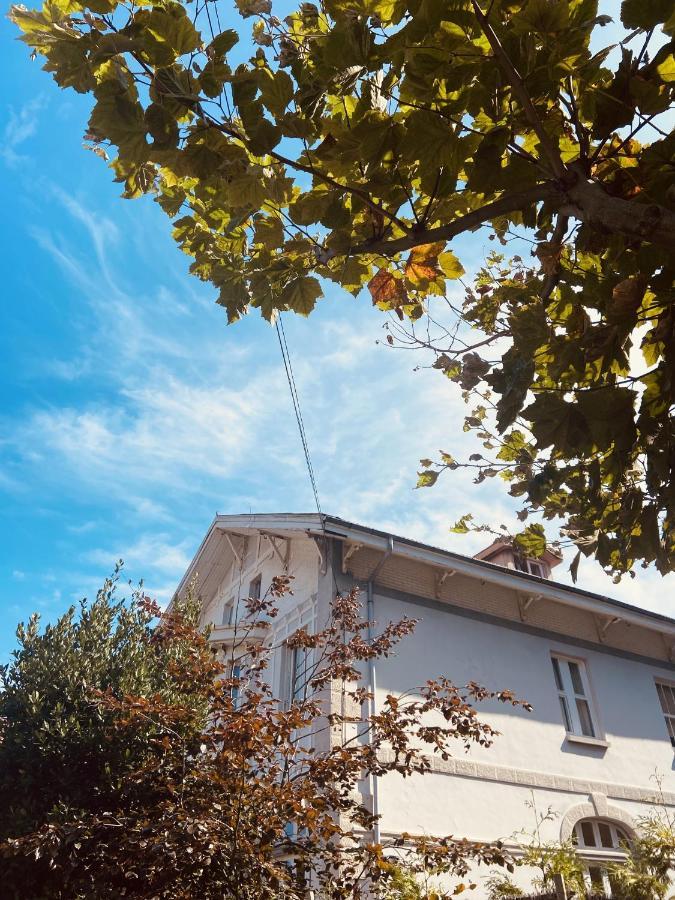 Alamar Salinas House Kültér fotó
